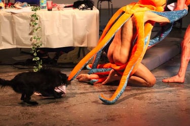 Jaya la petite chienne tire un tentacule du poulpe pour sauver son maître | Mobil'Homme | David Noir | Photo Bernard Bousquet