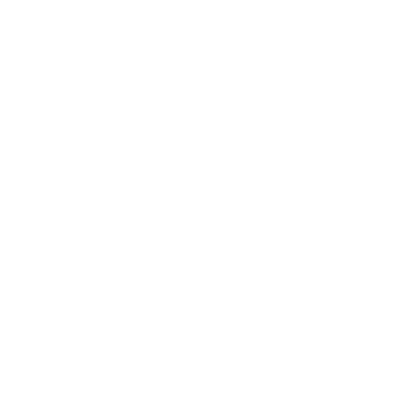 Playful Desires logo