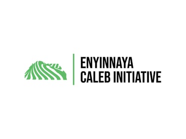 Enyinnaya Caleb Initiatives logo