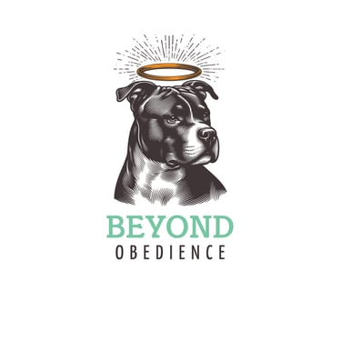 Beyond Obedience logo