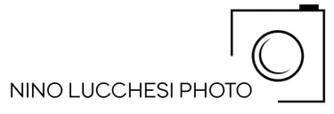 nino lucchesi photo logo