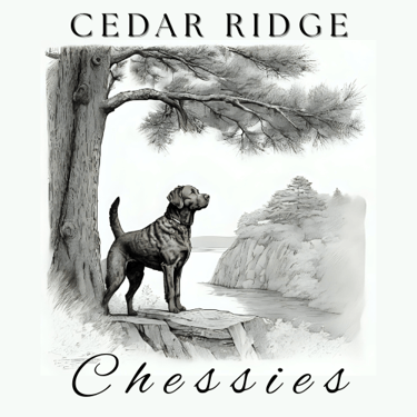 Cedar Ridge Chessies logo