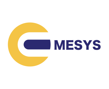 EMESYS logo