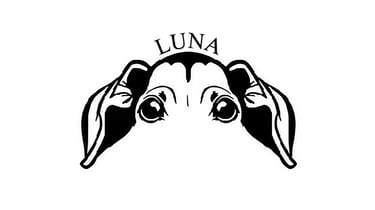 Luna logo