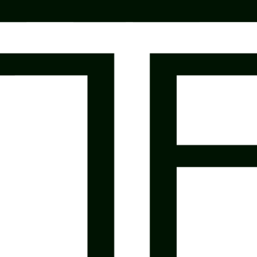 Terra Floor Innovation logo