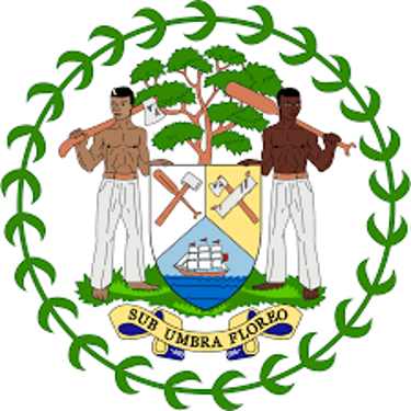 SARAWEE BELIZE PROPERTIES logo