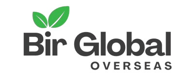 Bir Global™ Group logo