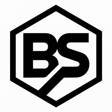 Borservice.de logo