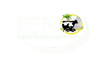 Impact Empowerment Network logo