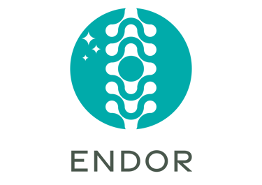 Centro Endor logo