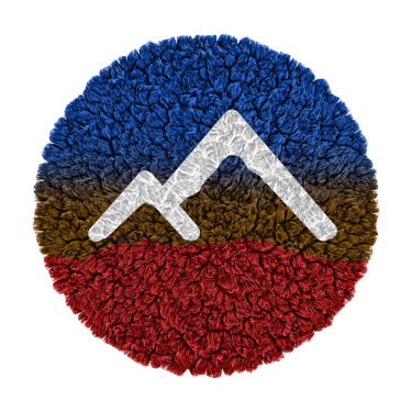 Carpet NV logo