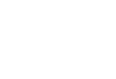 Vizm Nation logo