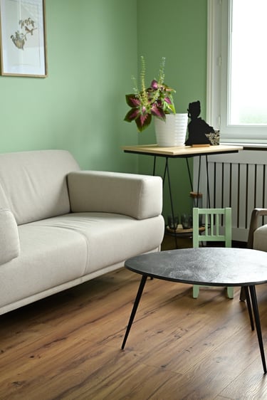 Photo du cabinet vert