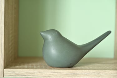 Détails du cabinet oiseau vert