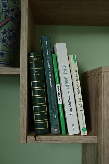 Détails du cabinet des livres verts