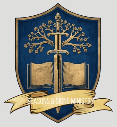 Self and Story Analysis logo