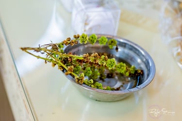 професионален фотограф Пловдив, свтабен фотогра Пловдив, фотосесии Пловдив, фотограф за кръщене Пловдив