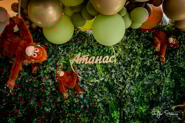 професионален фотограф Пловдив, свтабен фотогра Пловдив, фотосесии Пловдив, фотограф за кръщене Пловдив