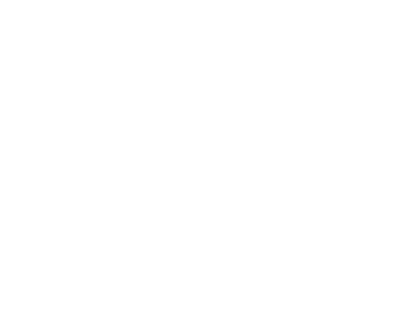 Lizar Perfumes logo
