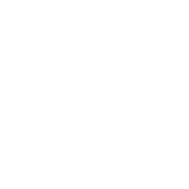 VF França Corretora de Seguros logo