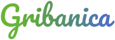 Andriy Gryban | Gribanica.eu logo