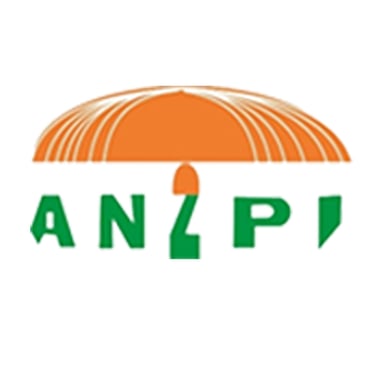 Agence nationale de la propriété industrielle et la promotion de l'innovation (AN2PI) logo