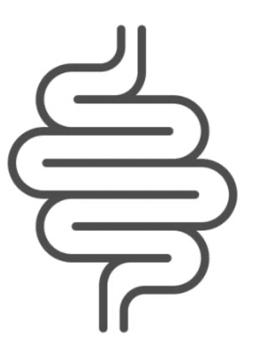 Bien Dans Mon Intestin logo