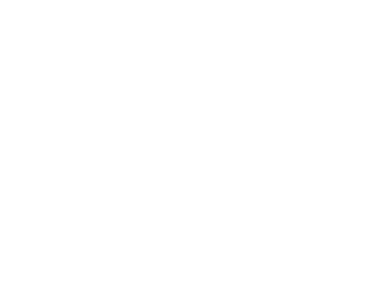 ISCEVI logo