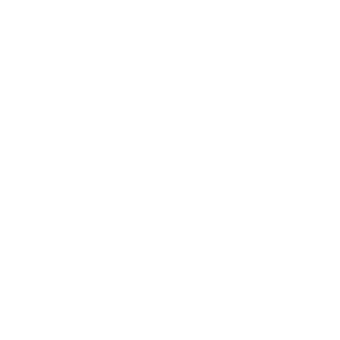 True Vision Records logo