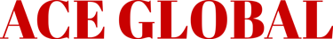 ACE GLOBAL logo