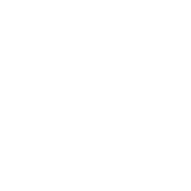Pajor Studio logo