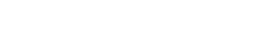 bazilaamir logo