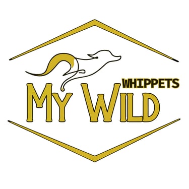 My Wild  logo