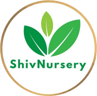 Shiv Nursery  logo
