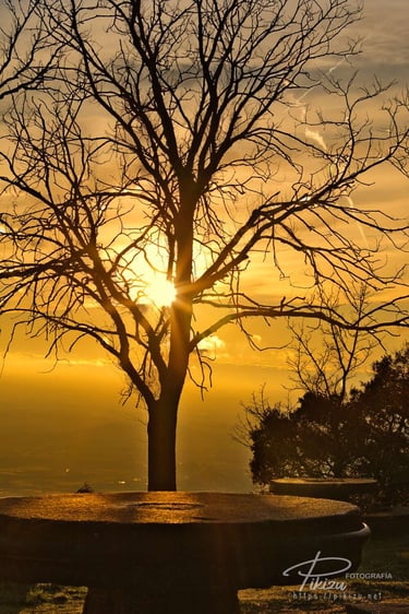 Atardeceres