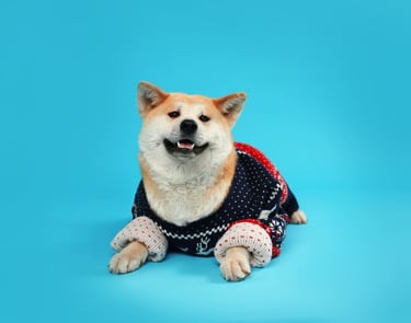 Perrito bonita con sueter navideño y fondo azul