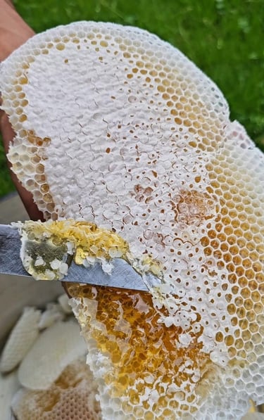 Honey Comb