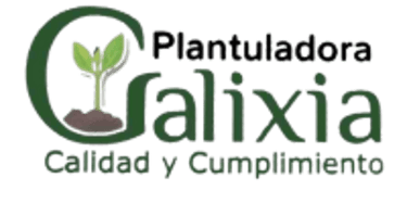 Cajamarca Tolima logo