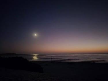 customized small business consulting solutions