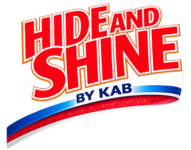 Hide & Shine logo