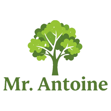 Mr Antoine Élagueur professionnel (31) logo