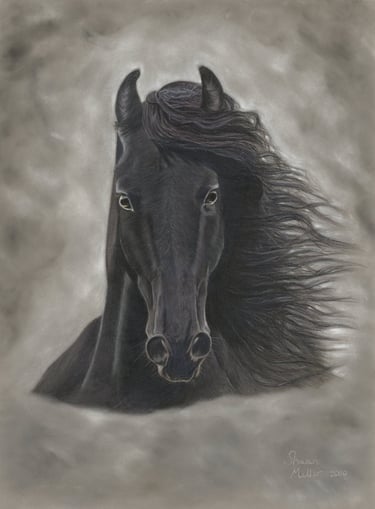 Horse Portrait Artist