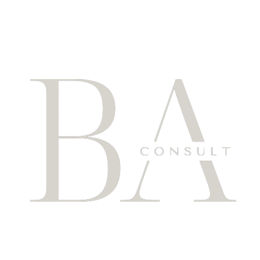 BA Consult logo