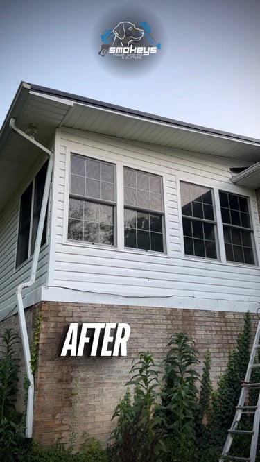 A white vinyl house after a soft wash cleaning