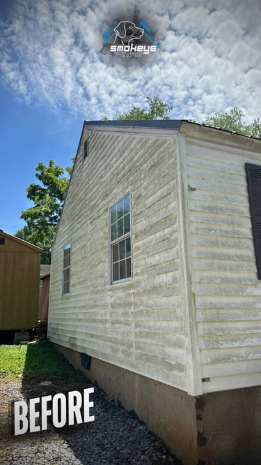 A white vinyl siding house before a soft wash