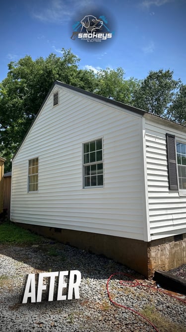 A white vinyl siding house after a soft washing service