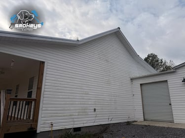 White vinyl siding before a soft wash