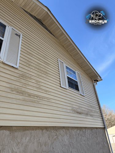 A vinyl house before a soft wash cleaning 