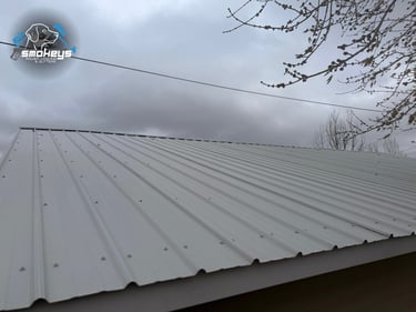 A metal roof after a soft wash cleaning
