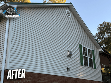 A vinyl house after a soft wash